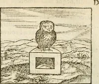 Picture 113 of 273 from Hieroglyphica, seu De sacris Aegyptiorum aliarumque gentium literis commentarii (1594), leaf 207
