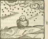 Picture 114 of 273 from Hieroglyphica, seu De sacris Aegyptiorum aliarumque gentium literis commentarii (1594), leaf 209