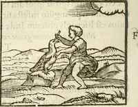 Picture 115 of 273 from Hieroglyphica, seu De sacris Aegyptiorum aliarumque gentium literis commentarii (1594), leaf 211