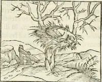 Picture 121 of 273 from Hieroglyphica, seu De sacris Aegyptiorum aliarumque gentium literis commentarii (1594), leaf 236