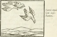 Picture 122 of 273 from Hieroglyphica, seu De sacris Aegyptiorum aliarumque gentium literis commentarii (1594), leaf 236