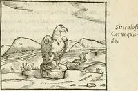 Picture 124 of 273 from Hieroglyphica, seu De sacris Aegyptiorum aliarumque gentium literis commentarii (1594), leaf 238