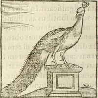 Picture 125 of 273 from Hieroglyphica, seu De sacris Aegyptiorum aliarumque gentium literis commentarii (1594), leaf 239