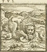 An illustration from Hieroglyphica, seu De sacris Aegyptiorum aliarumque gentium literis commentarii (1594)