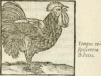 Picture 129 of 273 from Hieroglyphica, seu De sacris Aegyptiorum aliarumque gentium literis commentarii (1594), leaf 242
