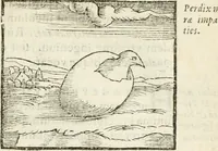 An illustration from Hieroglyphica, seu De sacris Aegyptiorum aliarumque gentium literis commentarii (1594)