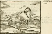 Picture 136 of 273 from Hieroglyphica, seu De sacris Aegyptiorum aliarumque gentium literis commentarii (1594), leaf 252