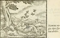 Picture 138 of 273 from Hieroglyphica, seu De sacris Aegyptiorum aliarumque gentium literis commentarii (1594), leaf 260
