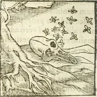 Picture 140 of 273 from Hieroglyphica, seu De sacris Aegyptiorum aliarumque gentium literis commentarii (1594), leaf 265