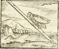 An illustration from Hieroglyphica, seu De sacris Aegyptiorum aliarumque gentium literis commentarii (1594)