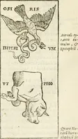 Picture 145 of 273 from Hieroglyphica, seu De sacris Aegyptiorum aliarumque gentium literis commentarii (1594), leaf 290