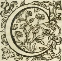 Picture 149 of 273 from Hieroglyphica, seu De sacris Aegyptiorum aliarumque gentium literis commentarii (1594), leaf 310