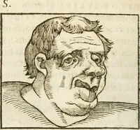 An illustration from Hieroglyphica, seu De sacris Aegyptiorum aliarumque gentium literis commentarii (1594)