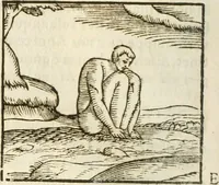 Picture 156 of 273 from Hieroglyphica, seu De sacris Aegyptiorum aliarumque gentium literis commentarii (1594), leaf 319