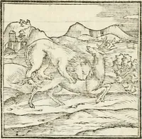 An illustration from Hieroglyphica, seu De sacris Aegyptiorum aliarumque gentium literis commentarii (1594)