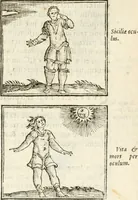 Picture 160 of 273 from Hieroglyphica, seu De sacris Aegyptiorum aliarumque gentium literis commentarii (1594), leaf 326
