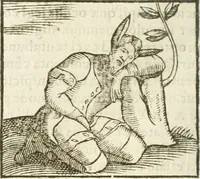 Picture 164 of 273 from Hieroglyphica, seu De sacris Aegyptiorum aliarumque gentium literis commentarii (1594), leaf 329