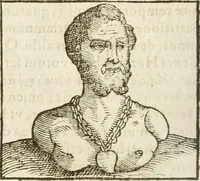 Picture 165 of 273 from Hieroglyphica, seu De sacris Aegyptiorum aliarumque gentium literis commentarii (1594), leaf 335