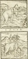 Picture 20 of 273 from Hieroglyphica, seu De sacris Aegyptiorum aliarumque gentium literis commentarii (1594), leaf 34