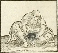 Picture 169 of 273 from Hieroglyphica, seu De sacris Aegyptiorum aliarumque gentium literis commentarii (1594), leaf 341