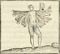 Picture 175 of 273 from Hieroglyphica, seu De sacris Aegyptiorum aliarumque gentium literis commentarii (1594), leaf 350