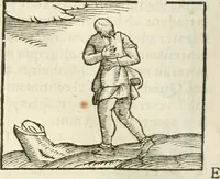 Picture 176 of 273 from Hieroglyphica, seu De sacris Aegyptiorum aliarumque gentium literis commentarii (1594), leaf 351