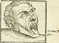 An illustration from Hieroglyphica, seu De sacris Aegyptiorum aliarumque gentium literis commentarii (1594)