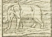 Picture 23 of 273 from Hieroglyphica, seu De sacris Aegyptiorum aliarumque gentium literis commentarii (1594), leaf 36