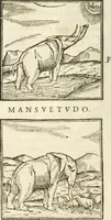 An illustration from Hieroglyphica, seu De sacris Aegyptiorum aliarumque gentium literis commentarii (1594)