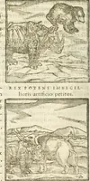 Picture 26 of 273 from Hieroglyphica, seu De sacris Aegyptiorum aliarumque gentium literis commentarii (1594), leaf 39