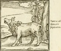 Picture 27 of 273 from Hieroglyphica, seu De sacris Aegyptiorum aliarumque gentium literis commentarii (1594), leaf 42