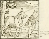 An illustration from Hieroglyphica, seu De sacris Aegyptiorum aliarumque gentium literis commentarii (1594)