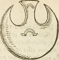 Picture 201 of 273 from Hieroglyphica, seu De sacris Aegyptiorum aliarumque gentium literis commentarii (1594), leaf 431