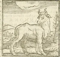 An illustration from Hieroglyphica, seu De sacris Aegyptiorum aliarumque gentium literis commentarii (1594)