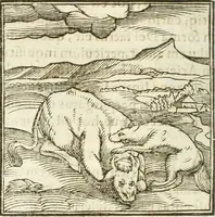 Picture 31 of 273 from Hieroglyphica, seu De sacris Aegyptiorum aliarumque gentium literis commentarii (1594), leaf 47