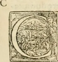 Picture 232 of 273 from Hieroglyphica, seu De sacris Aegyptiorum aliarumque gentium literis commentarii (1594), leaf 496