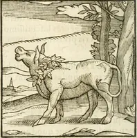 Picture 245 of 273 from Hieroglyphica, seu De sacris Aegyptiorum aliarumque gentium literis commentarii (1594), leaf 527