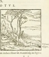An illustration from Hieroglyphica, seu De sacris Aegyptiorum aliarumque gentium literis commentarii (1594)