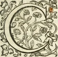 An illustration from Hieroglyphica, seu De sacris Aegyptiorum aliarumque gentium literis commentarii (1594)