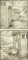 Picture 267 of 273 from Hieroglyphica, seu De sacris Aegyptiorum aliarumque gentium literis commentarii (1594), leaf 600