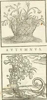 Picture 272 of 273 from Hieroglyphica, seu De sacris Aegyptiorum aliarumque gentium literis commentarii (1594), leaf 605