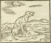 Picture 35 of 273 from Hieroglyphica, seu De sacris Aegyptiorum aliarumque gentium literis commentarii (1594), leaf 63