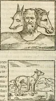Picture 37 of 273 from Hieroglyphica, seu De sacris Aegyptiorum aliarumque gentium literis commentarii (1594), leaf 67