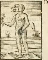 An illustration from Hieroglyphica, seu De sacris Aegyptiorum aliarumque gentium literis commentarii (1594)