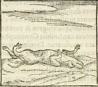 Picture 40 of 273 from Hieroglyphica, seu De sacris Aegyptiorum aliarumque gentium literis commentarii (1594), leaf 72
