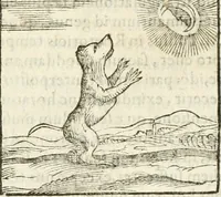 Picture 41 of 273 from Hieroglyphica, seu De sacris Aegyptiorum aliarumque gentium literis commentarii (1594), leaf 72