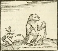 Picture 42 of 273 from Hieroglyphica, seu De sacris Aegyptiorum aliarumque gentium literis commentarii (1594), leaf 73