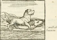 Picture 43 of 273 from Hieroglyphica, seu De sacris Aegyptiorum aliarumque gentium literis commentarii (1594), leaf 74
