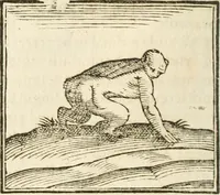 An illustration from Hieroglyphica, seu De sacris Aegyptiorum aliarumque gentium literis commentarii (1594)