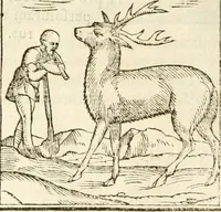 Picture 46 of 273 from Hieroglyphica, seu De sacris Aegyptiorum aliarumque gentium literis commentarii (1594), leaf 79